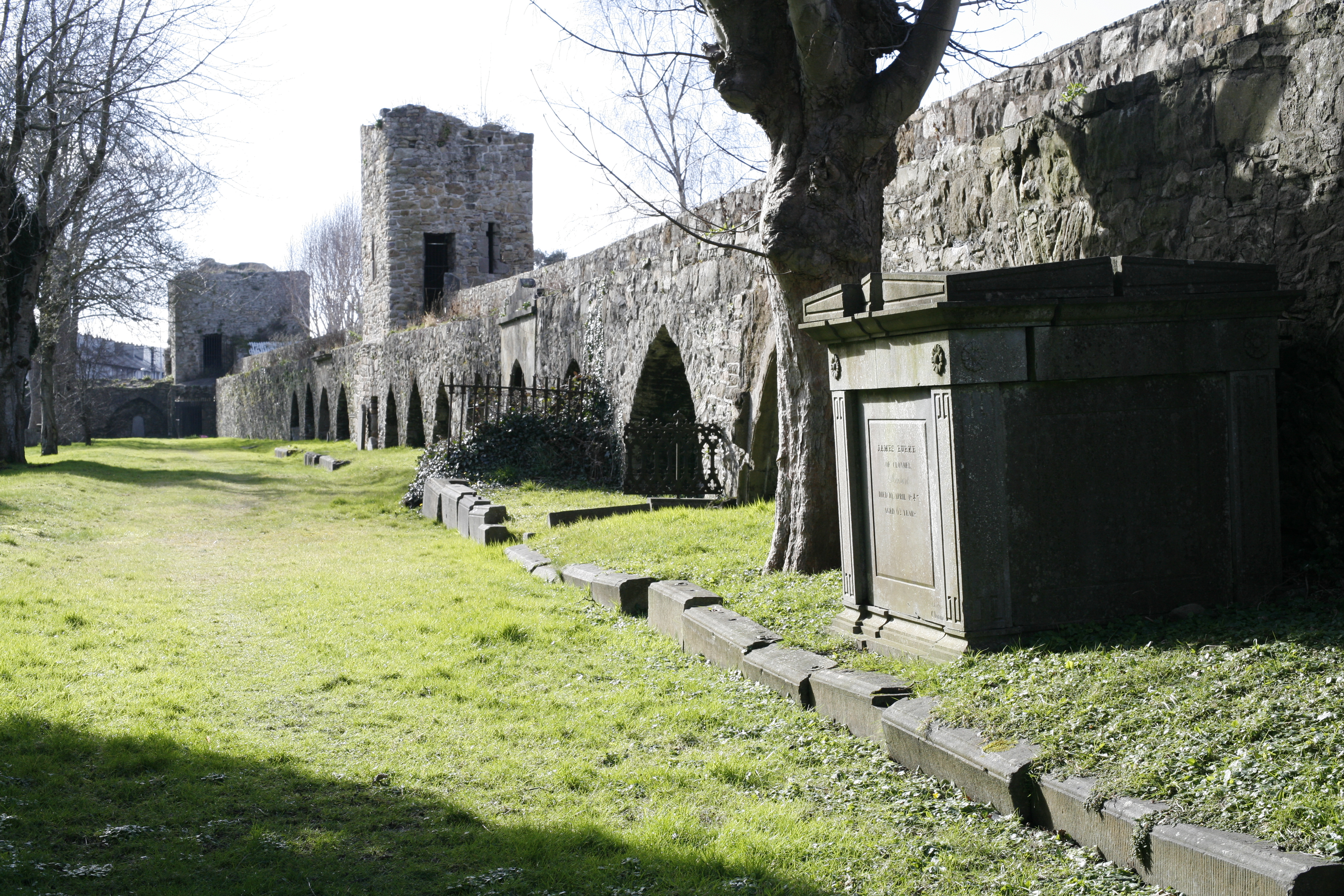 Old Saint Mary's Church, Clonmel, Co Tipperary